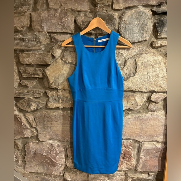 Trina Turk Dress - Picture 1 of 2